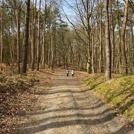 Mila Odmiana - Enklawa *